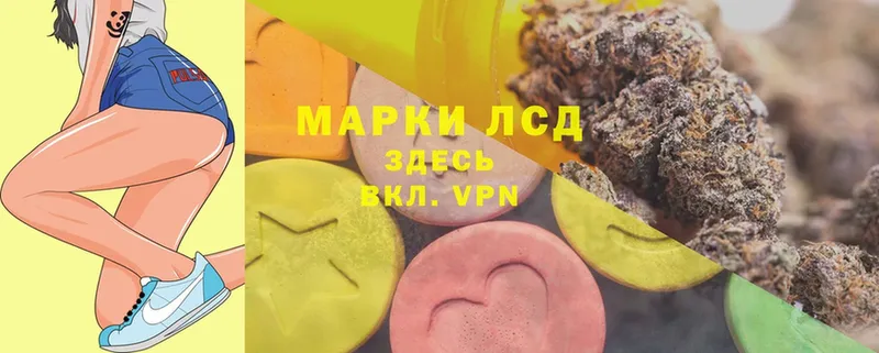 что такое   Малая Вишера  ЛСД экстази ecstasy 